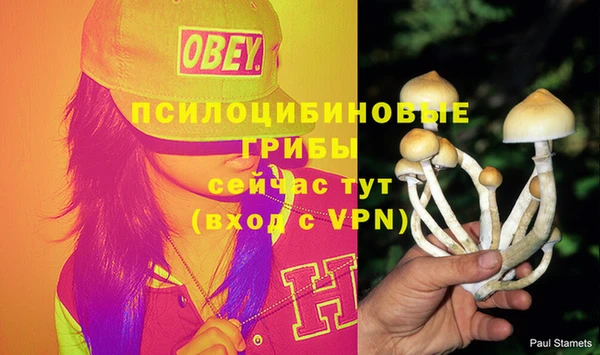 каннабис Ладушкин