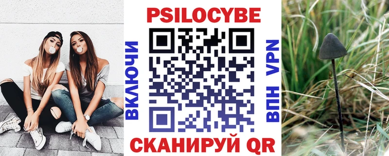 Галлюциногенные грибы Cubensis закладка Брюховецкая
